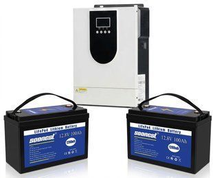 Комплект инвертор WX1252 и 2 аккумулятора LiFePO4 12.8V (2104618905) 2104618905 фото