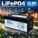 Акумулятор літій-залізо-фосфатний LiFePO4 12,8 В 300 А&middot;год (заявлено виробником), 3840 Вт&middot;год, для інвертора та резервного живлення M1333 фото 2