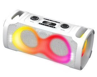 Портативна акустична колонка ZXX-8082 з Bluetooth та мікрофоном акумуляторна 60 Вт (2104619410) 2104619410 фото