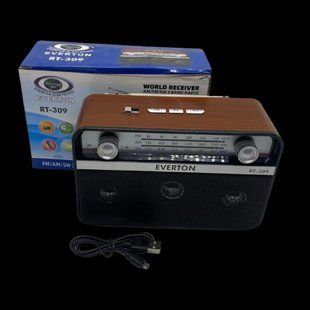 Потужний портативний радіоприймач Everton RT-309 FM/AM/SW/Bluetooth/USB з ліхтариком 1737086653 фото