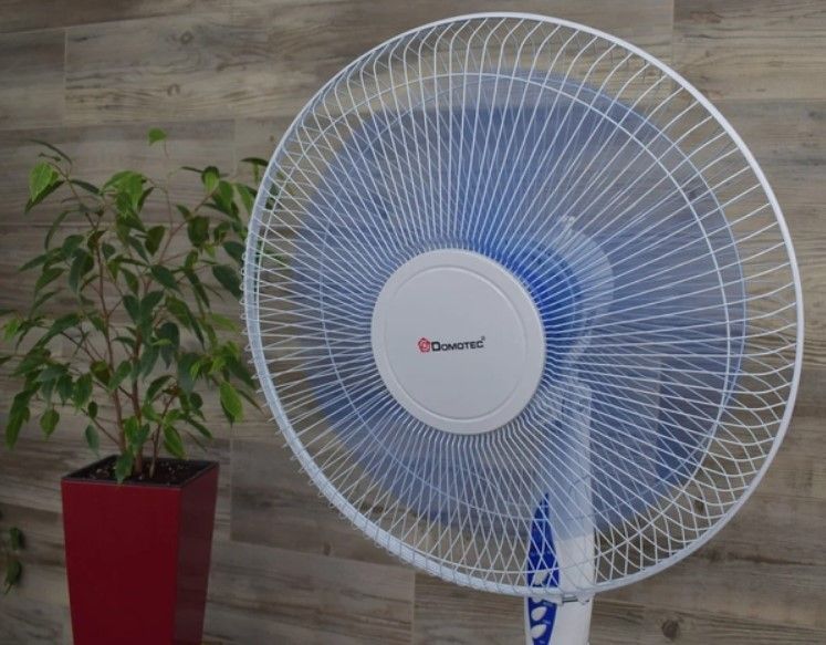 Домашній вентилятор для підлоги Domotec MS-1621 Remote /16 з пультом ДК (1850299142) 1850299142 фото
