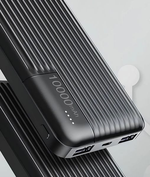 Портативний повербанк Power Bank LENYES PX161 MicroUSB і Type-C 10000 mAh (2104619100) 2104619100 фото