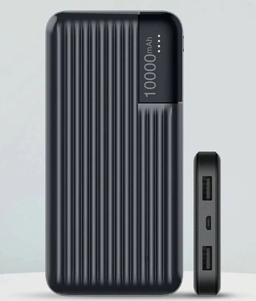 Портативний повербанк Power Bank LENYES PX161 MicroUSB і Type-C 10000 mAh (2104619100) 2104619100 фото