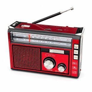Портативне радіо GOLON RX-382 FM/AM/SW з USB, TF, акумулятором та LED-ліхтарем M1151  фото