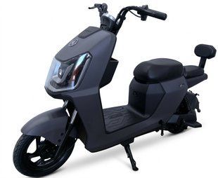 Электроскутер Oscar Amir LiFePO4 аккумуляторный 800W/48W/20Ah Черный 2104619480 фото